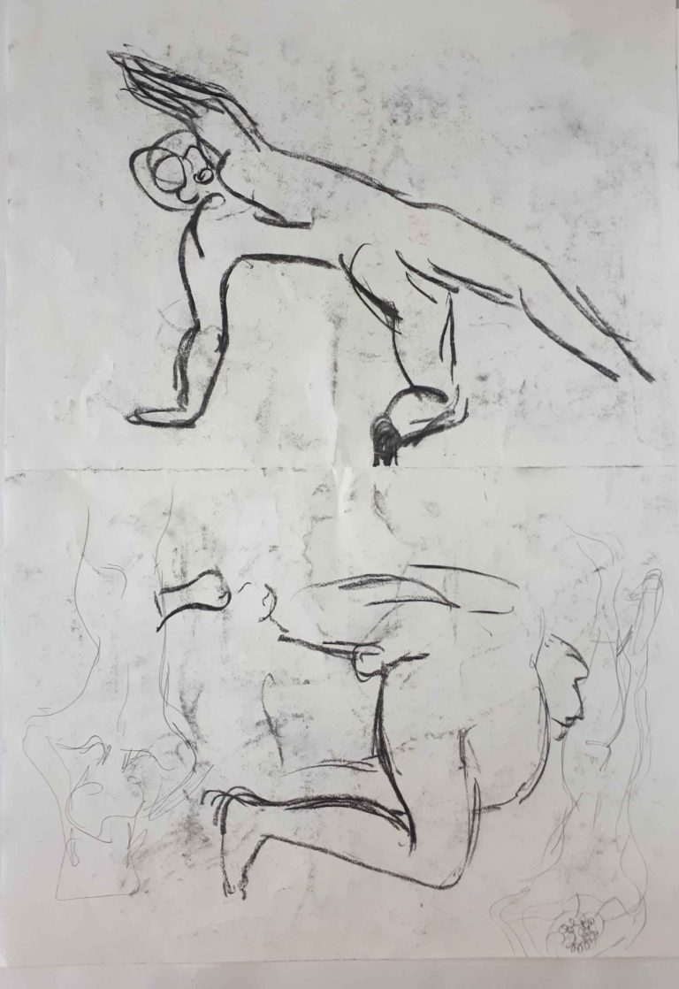Bareback Museum Drawing Collection